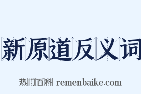 新原道反义词是什么意思的图片